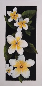 Franjipani