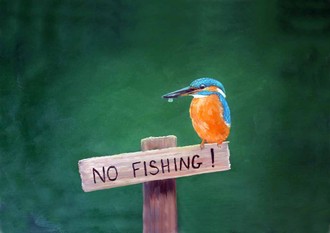 No Fishing